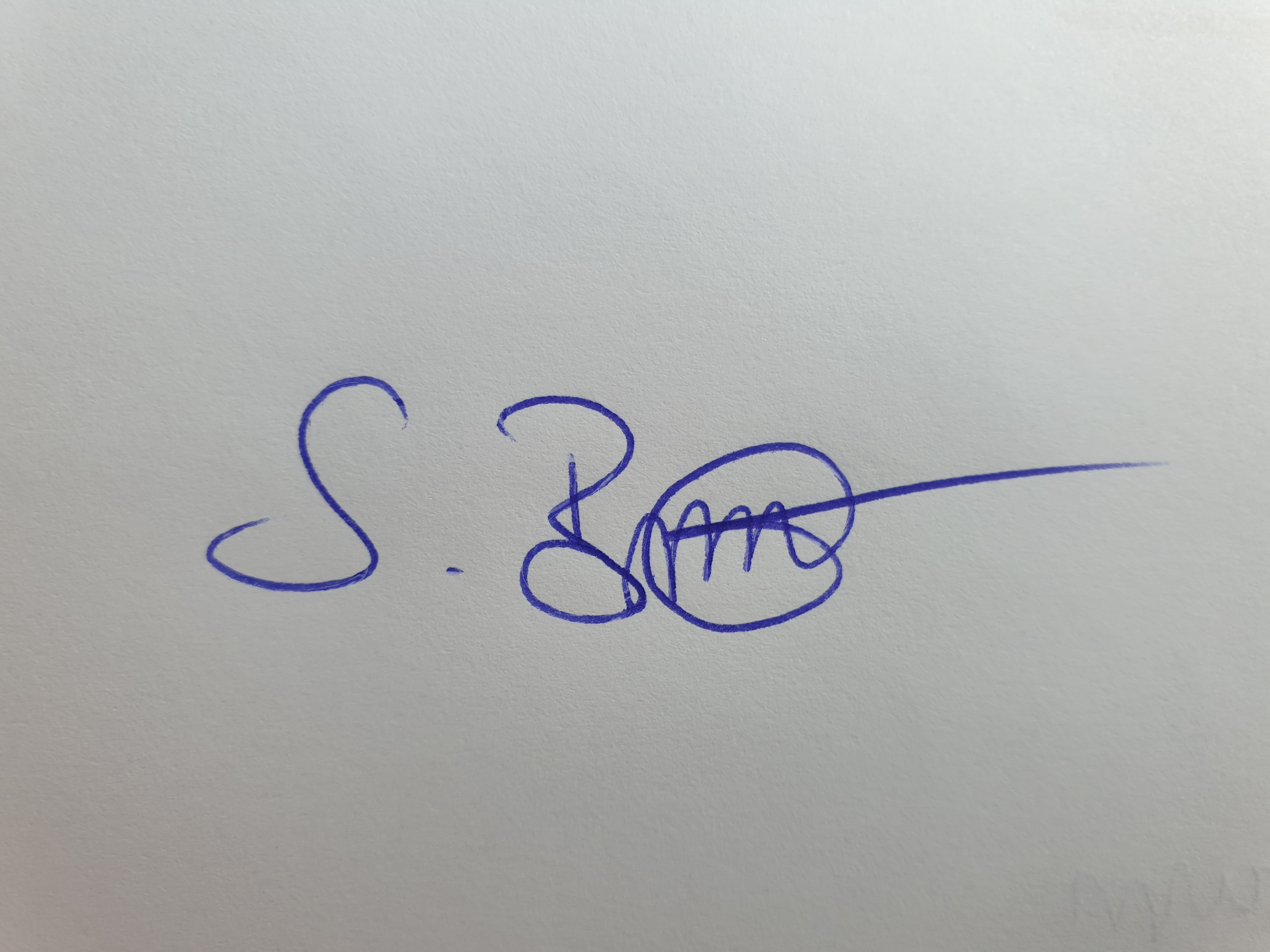 Unterschrift (eingescannt)